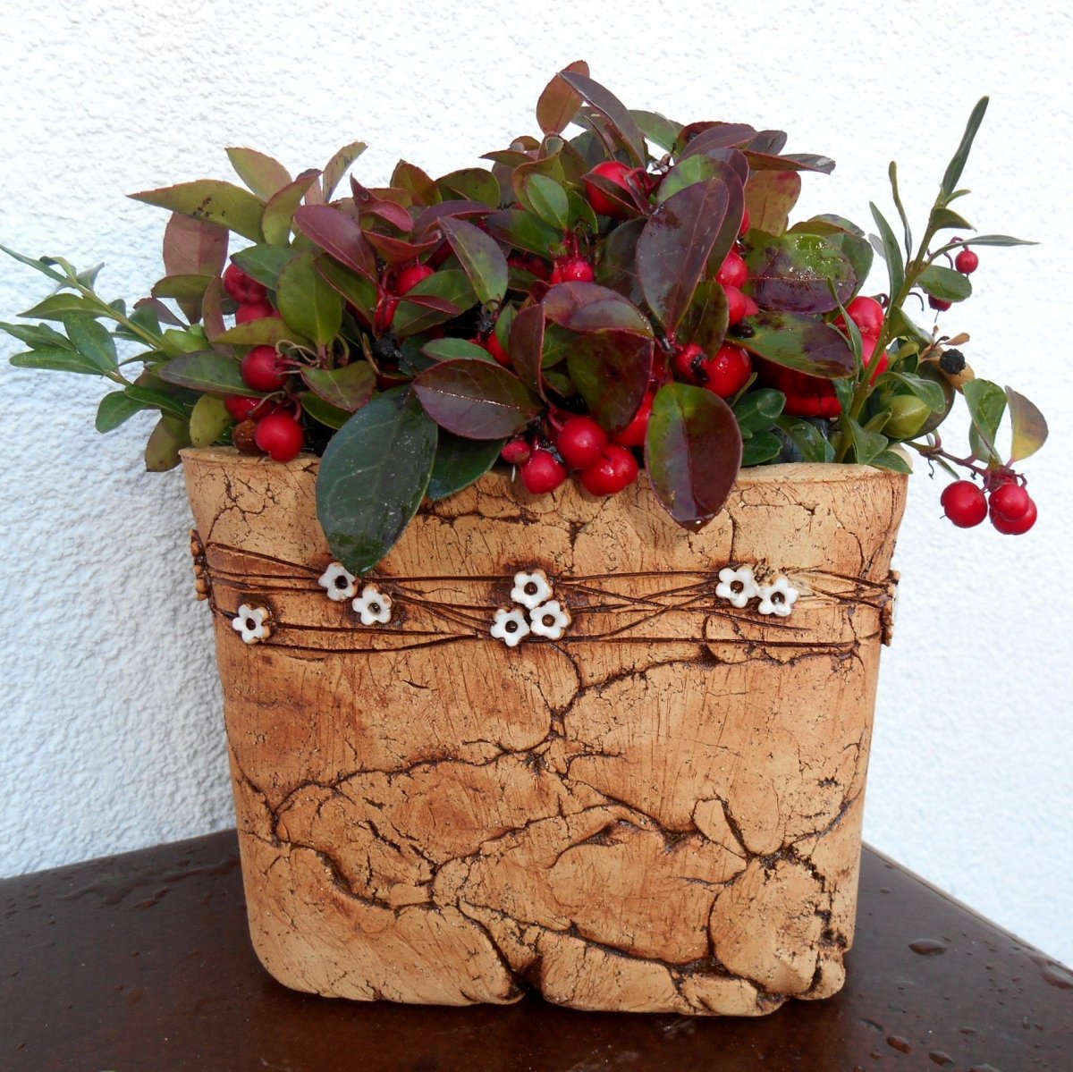 Hranatý květník - bílé kytičky