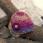 Čepice háčkovaná pestrobarevná s fialovou