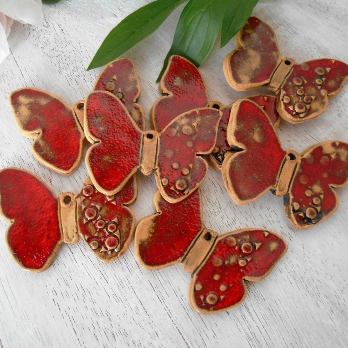 Motýlci červenáci