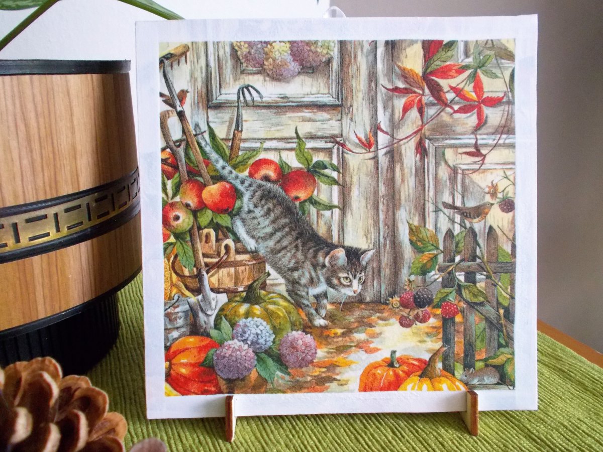 Kočka na podzimní zahradě