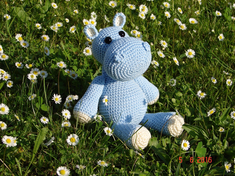 Hrošík v klučičích barvách 