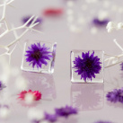 Soumračně fialové náušnice s pravými květy