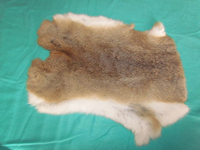 Králičí kožešina 10.