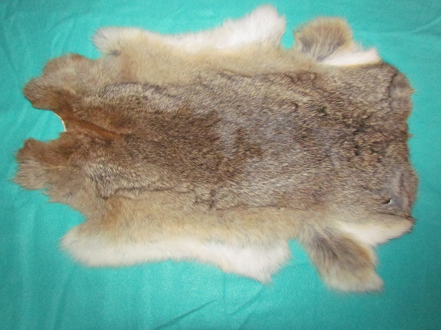 Králičí kožešina 8.