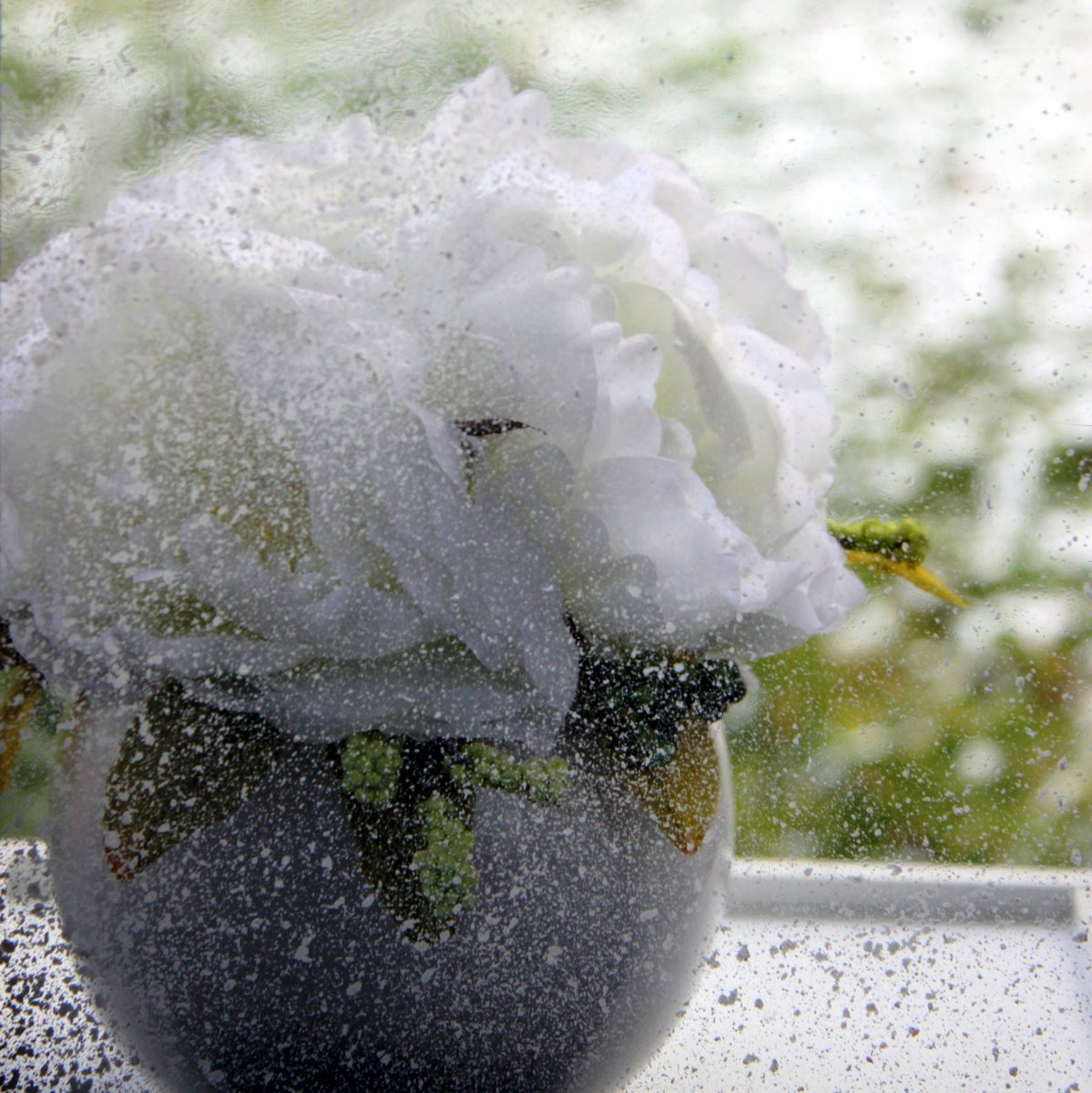 Bílé pivoňky v bílé lesklé keramické kouli_dekorace na stůl