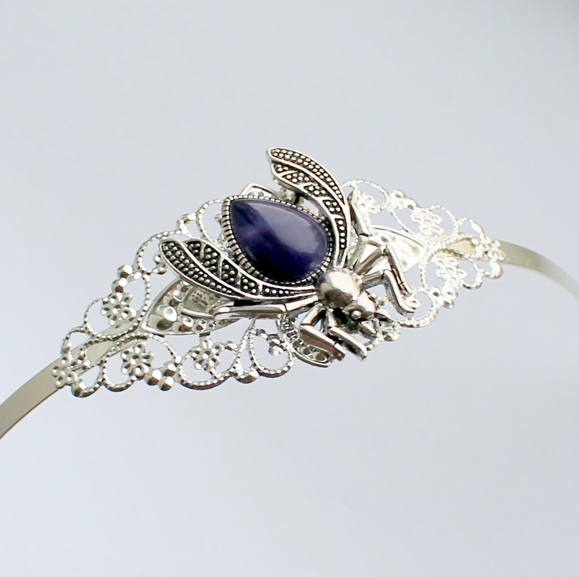 Ze světa hmyzu - čelenka