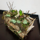 Jarní "truhlík" s živými hyacinty