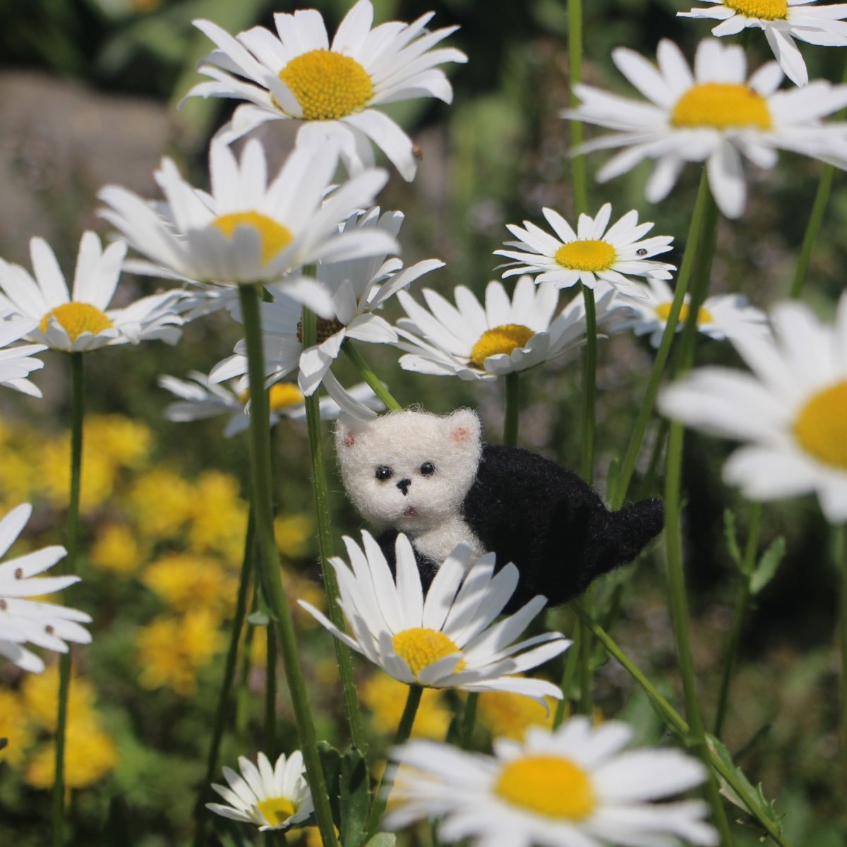 Brož - Koťátko Všudybýlek