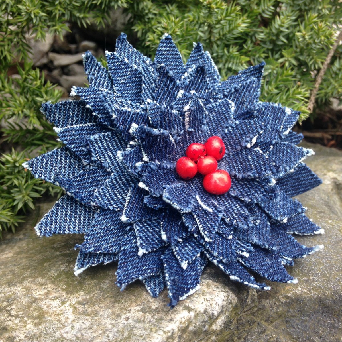 Riflová chryzantéma s jeřabinkami