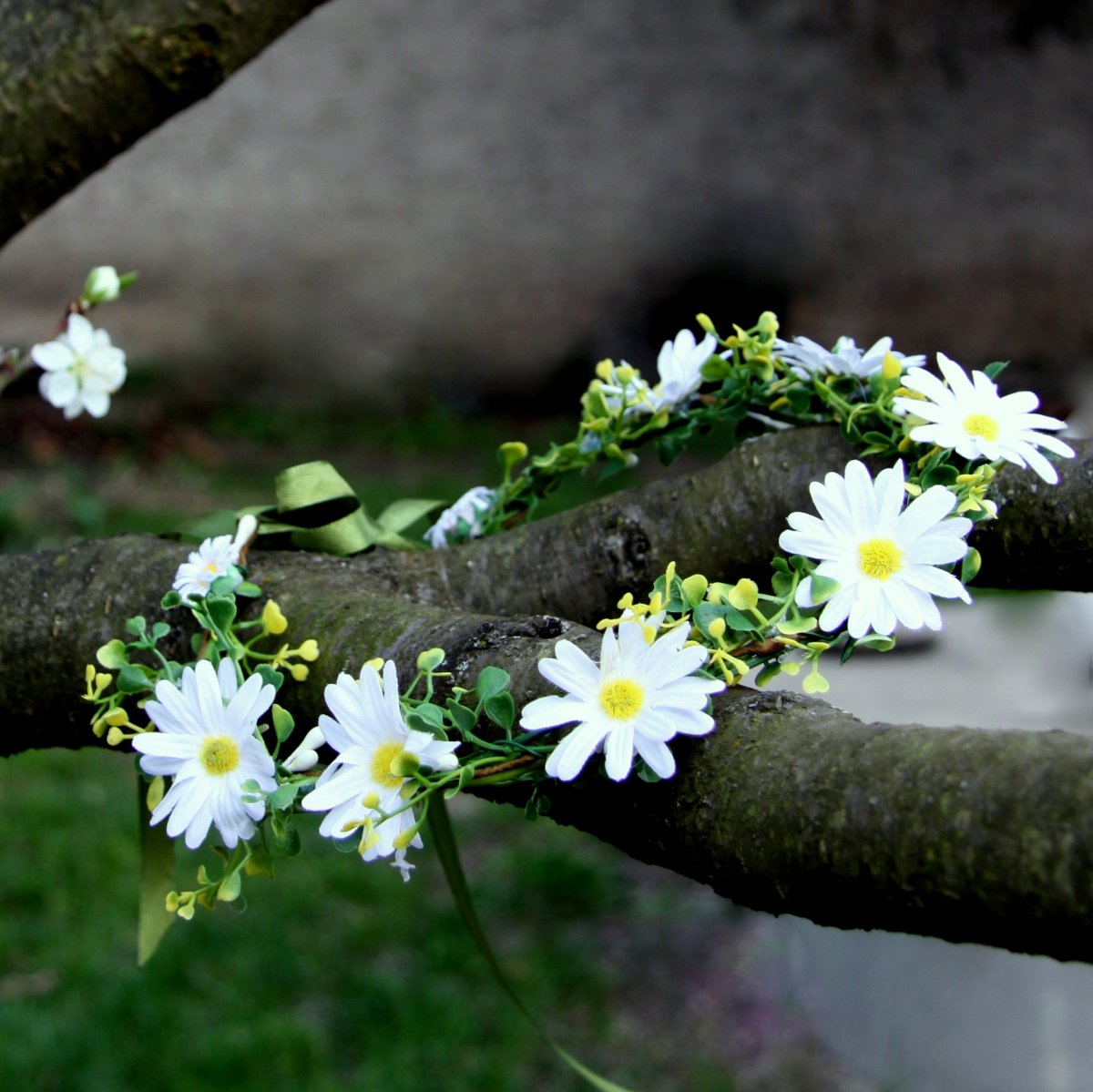 Kopretinový věneček do vlasů