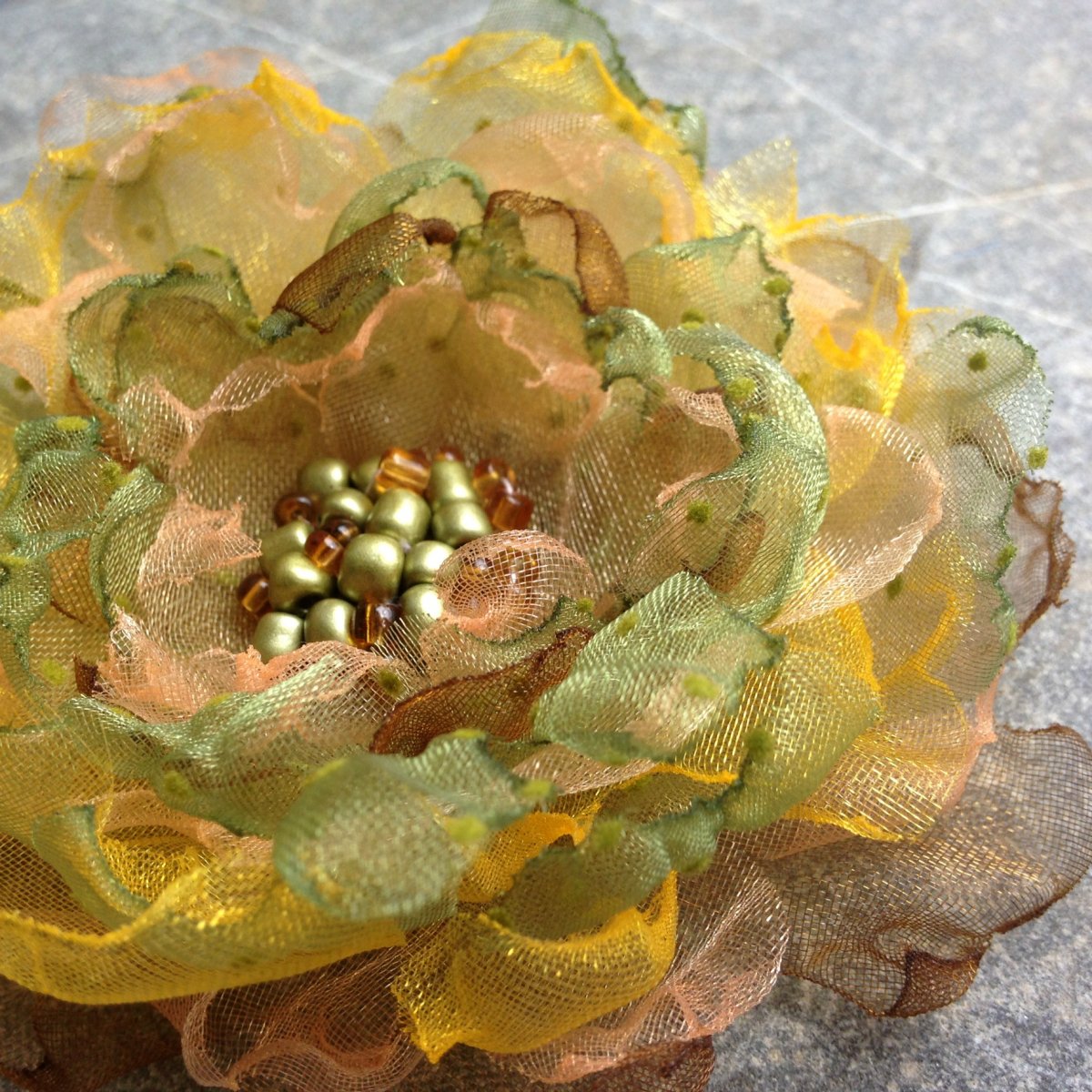 Podzimní chryzantéma