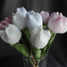 Šité tulipány smetanové