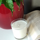 Sójová svíčka 230ml - herbal 