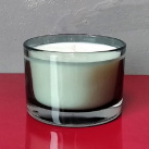Sójová svíčka 160ml - herbal (sleva ze 179,- platí pouze na tento kus)
