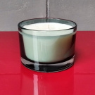 Sójová svíčka 160ml - herbal - poslední kus