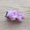 Poupě růže barvy růžovofialové a bordohnědý střed