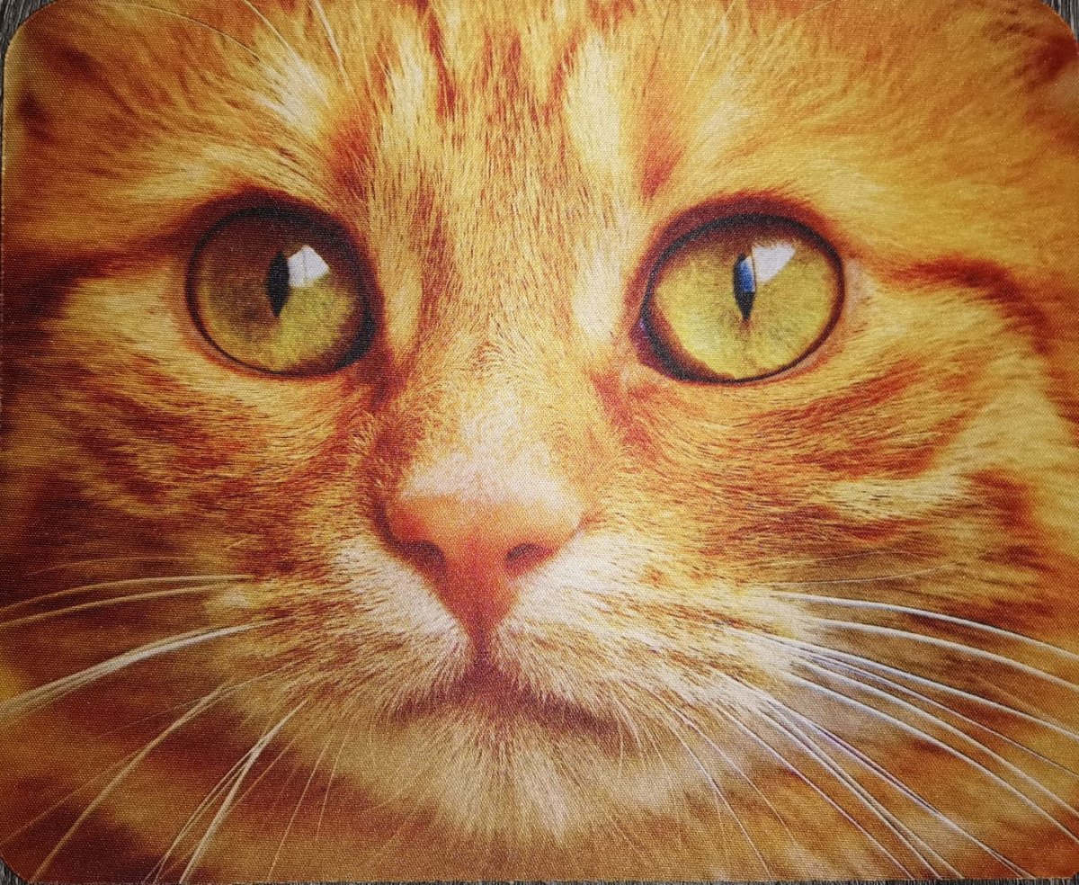 Podložka pod myš s potiskem, kočka zrzavá