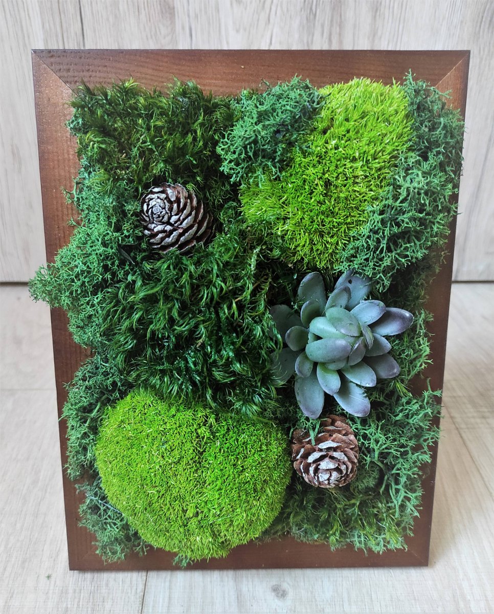 Mechový obrázek v tmavém rámečku