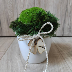 Mechová dekorace v keramice