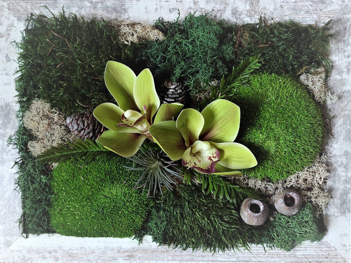 Mechový obrázek s orchidejí