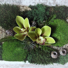 Mechový obrázek s orchidejí