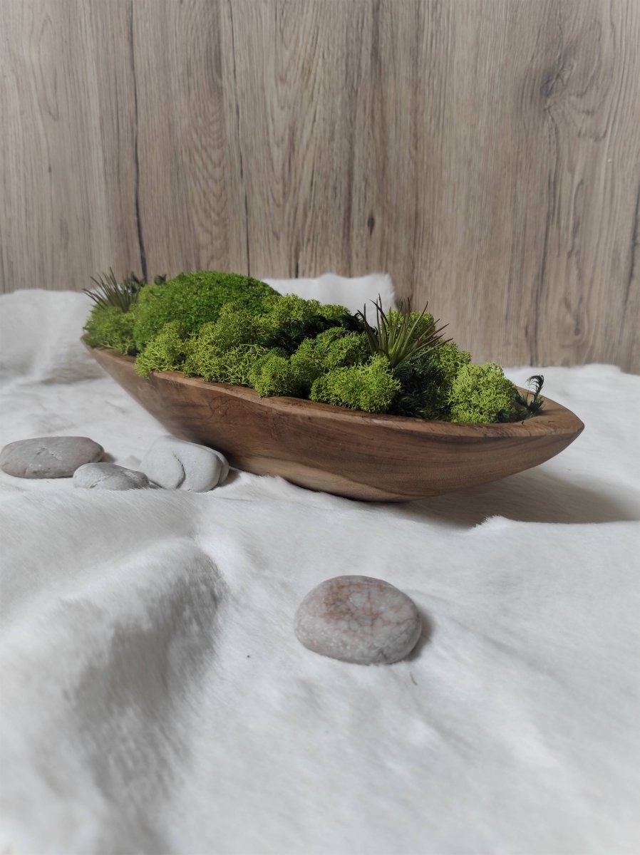 Mechová dekorace v teakové misce