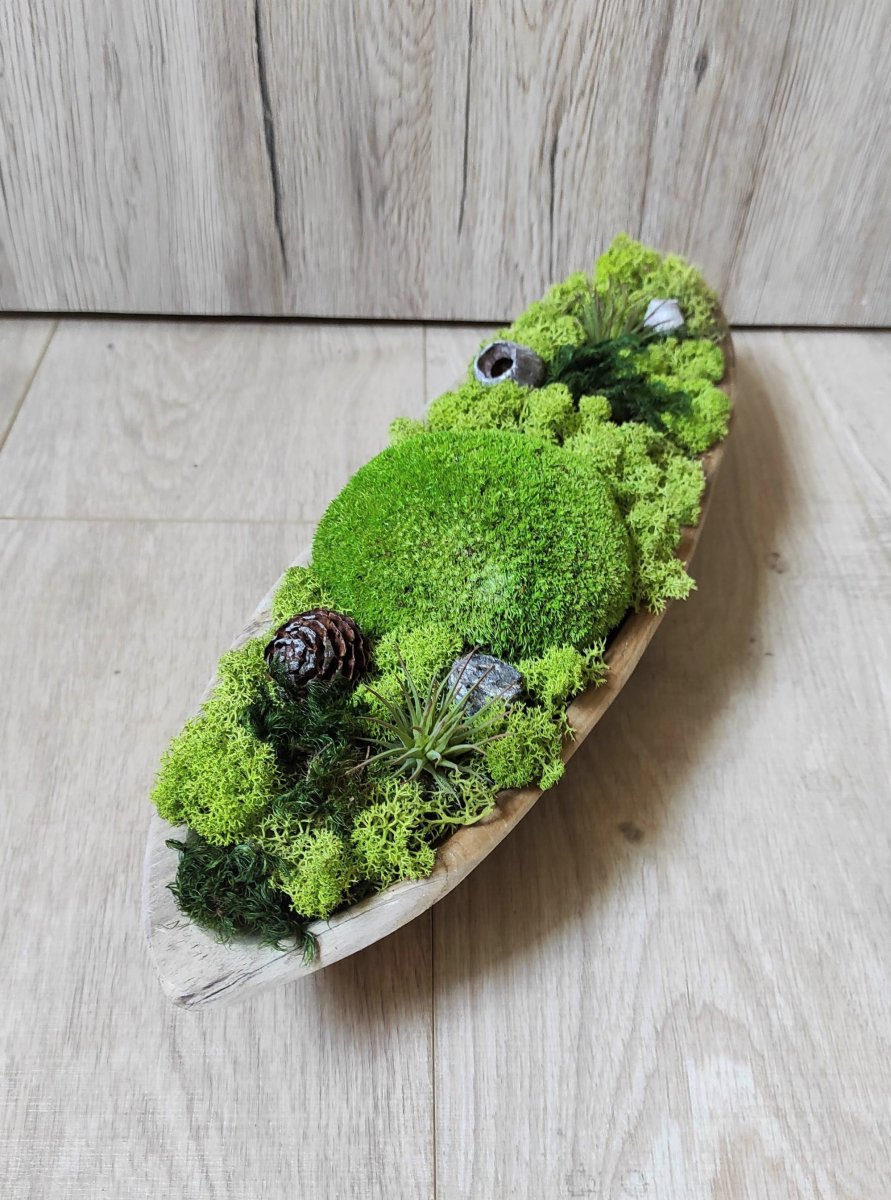 Mechová dekorace v teakové misce