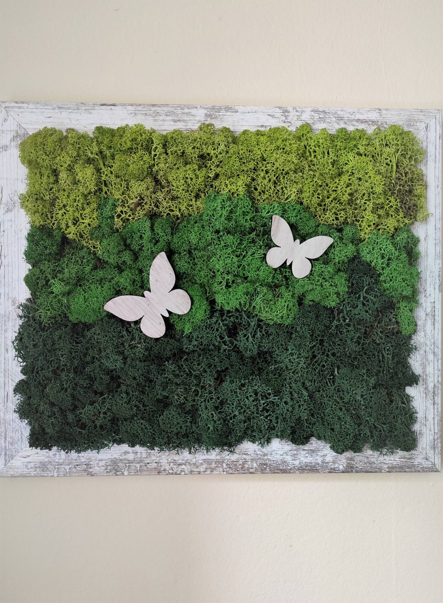 Mechový obrázek s motýlky