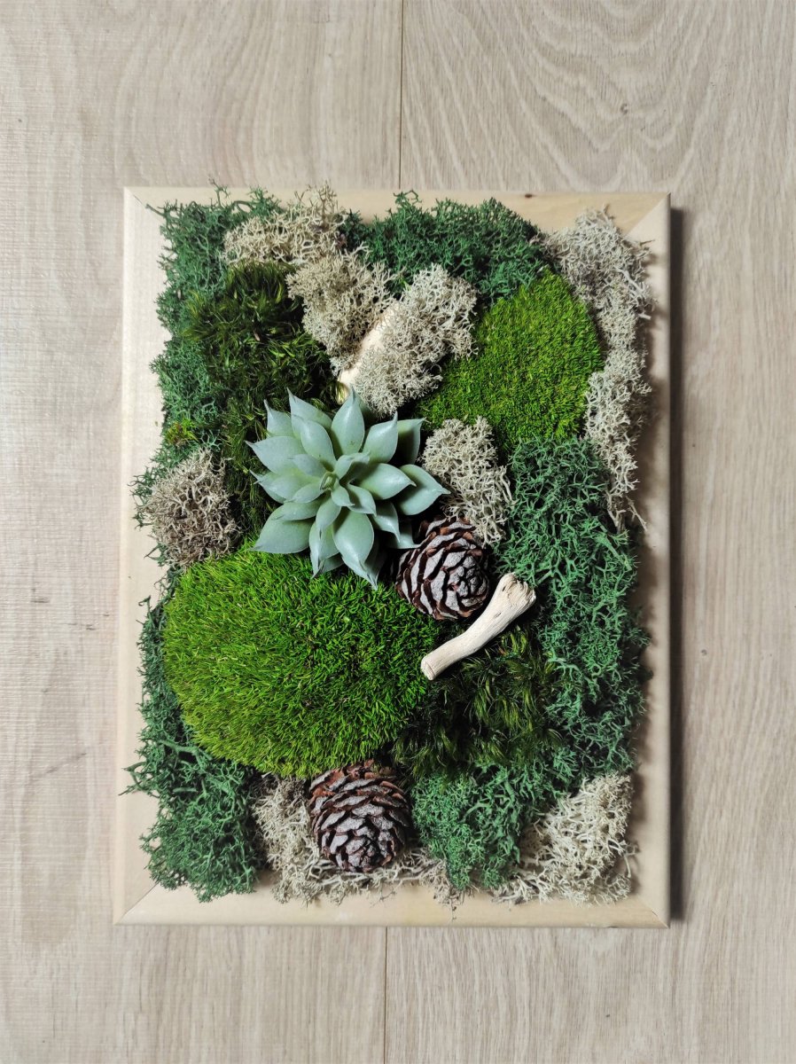 Mechový obrázek ve světlém rámečku