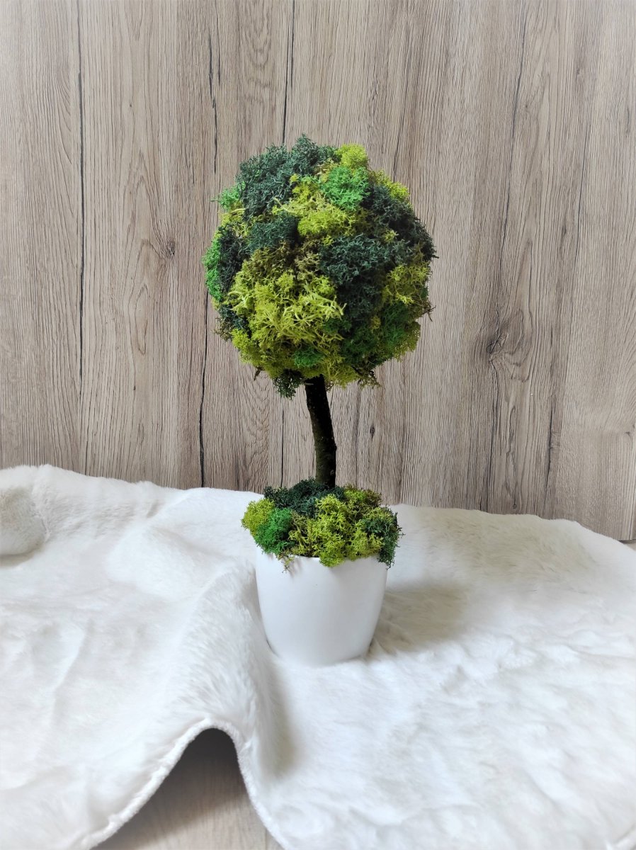Mechový stromek v květináči