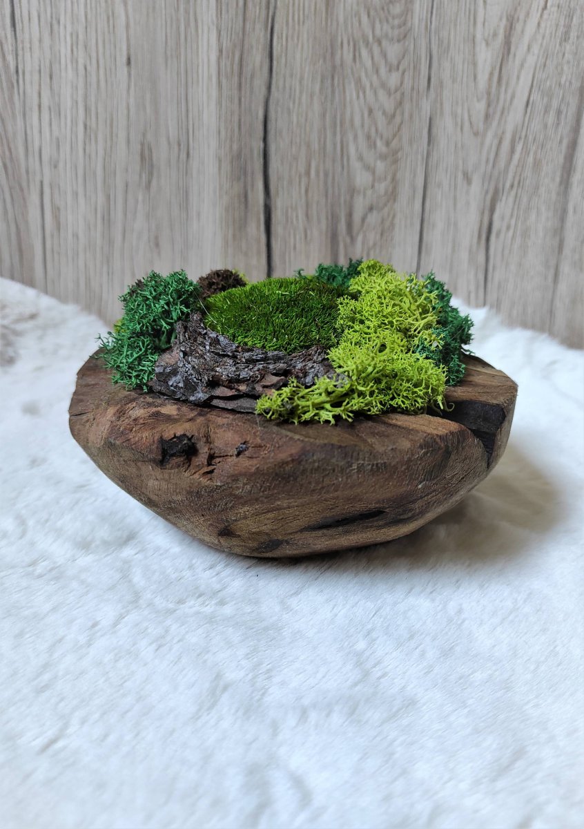 Mechová dekorace v teakové misce