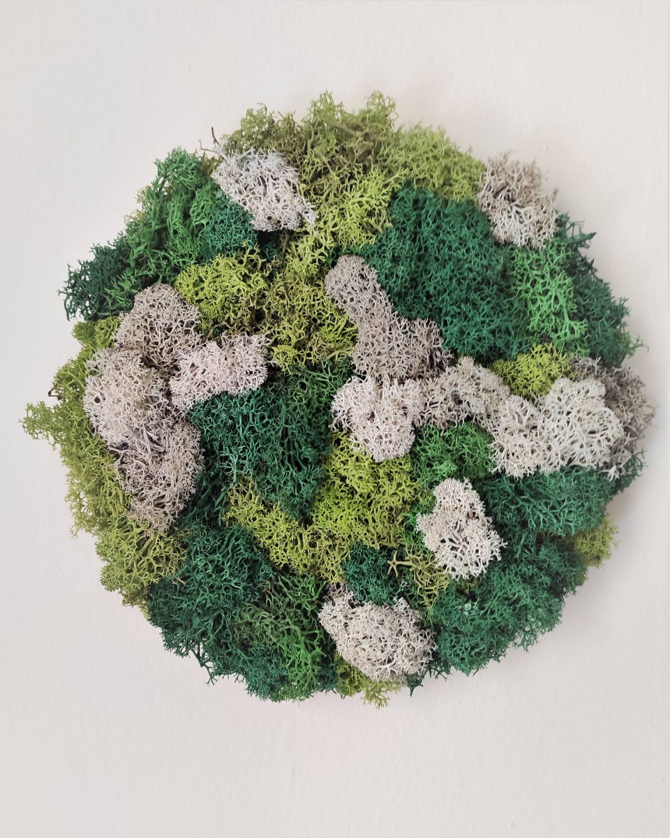 Mechový obrázek kruhový