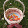 Košíček na 10 vajíček - jarní 