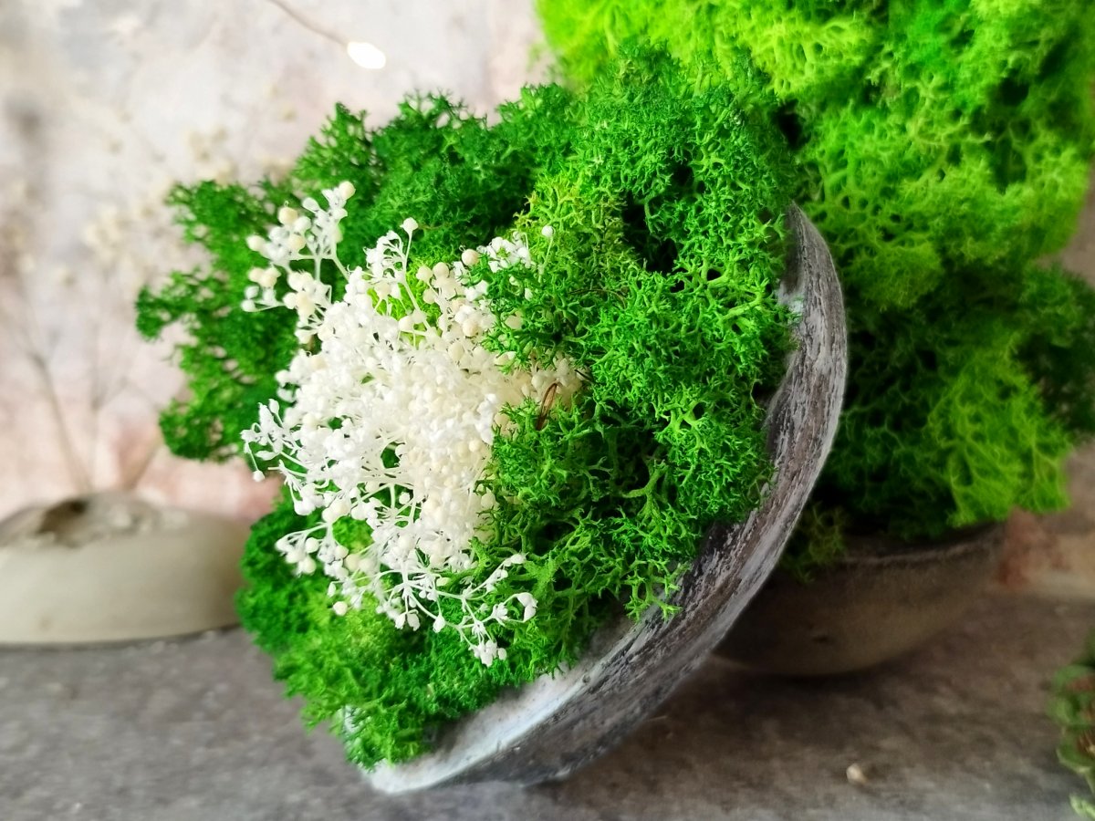 Betonové srdce s mechem "Malé-zelená tráva"