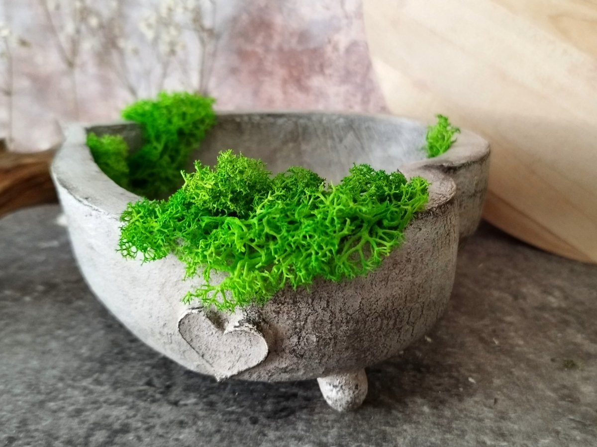 Beton-miska-srdíčko "Nožičky+sobí mech"