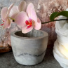 Betonový květináč na orchidej