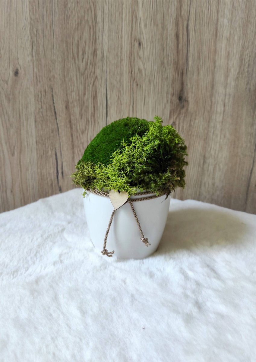 Mechová dekorace v keramice se srdíčkem 2