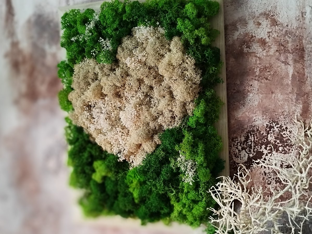 Mechový obraz " Srdce "