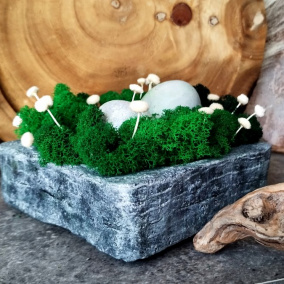 Beton-miska-mech "Imitace kamene"