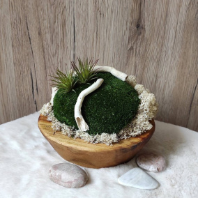 Mechová dekorace v teakové misce 2