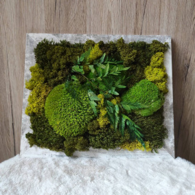 Mechový obrázek s kapradinou