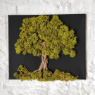 Mechový obrázek - Strom 4