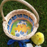 Košíček na 10 vajíček - kuřátko