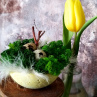 Jarní dekorace-miska " Pastel+mech "