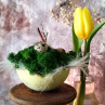Jarní dekorace-miska " Pastel+mech "