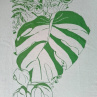 Tričko - Monstera
