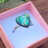 Prstýnek z ABALONE SHELL paua mušle, postříbřený