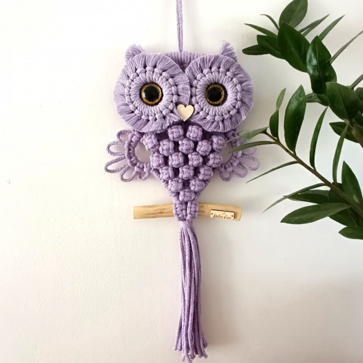 Sovička na větvi levandulová se zlatýma očima