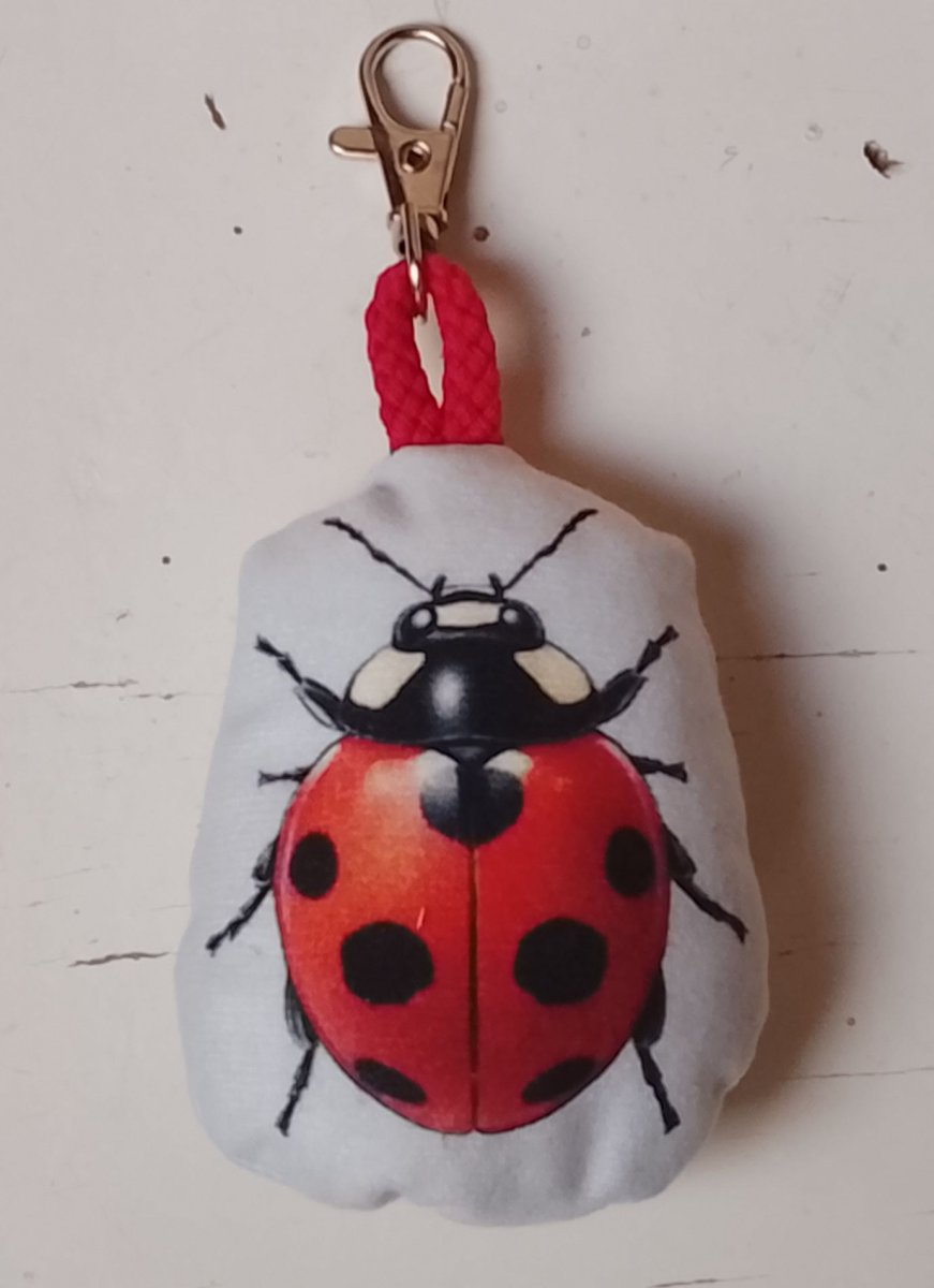 Přívěsek beruška 