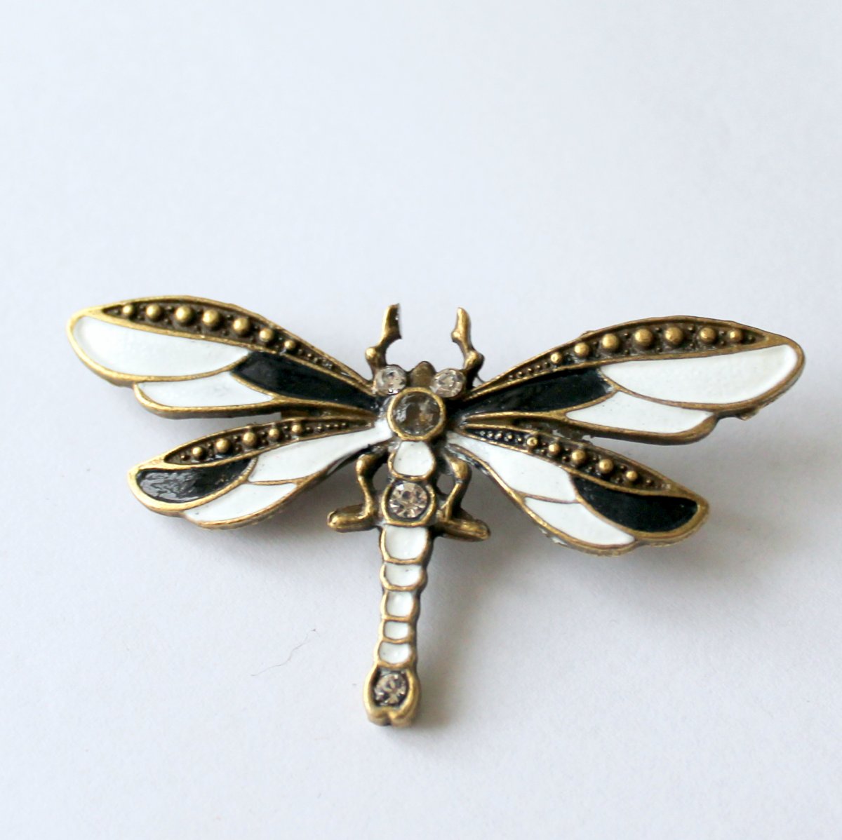 Luxusní vážka - brož